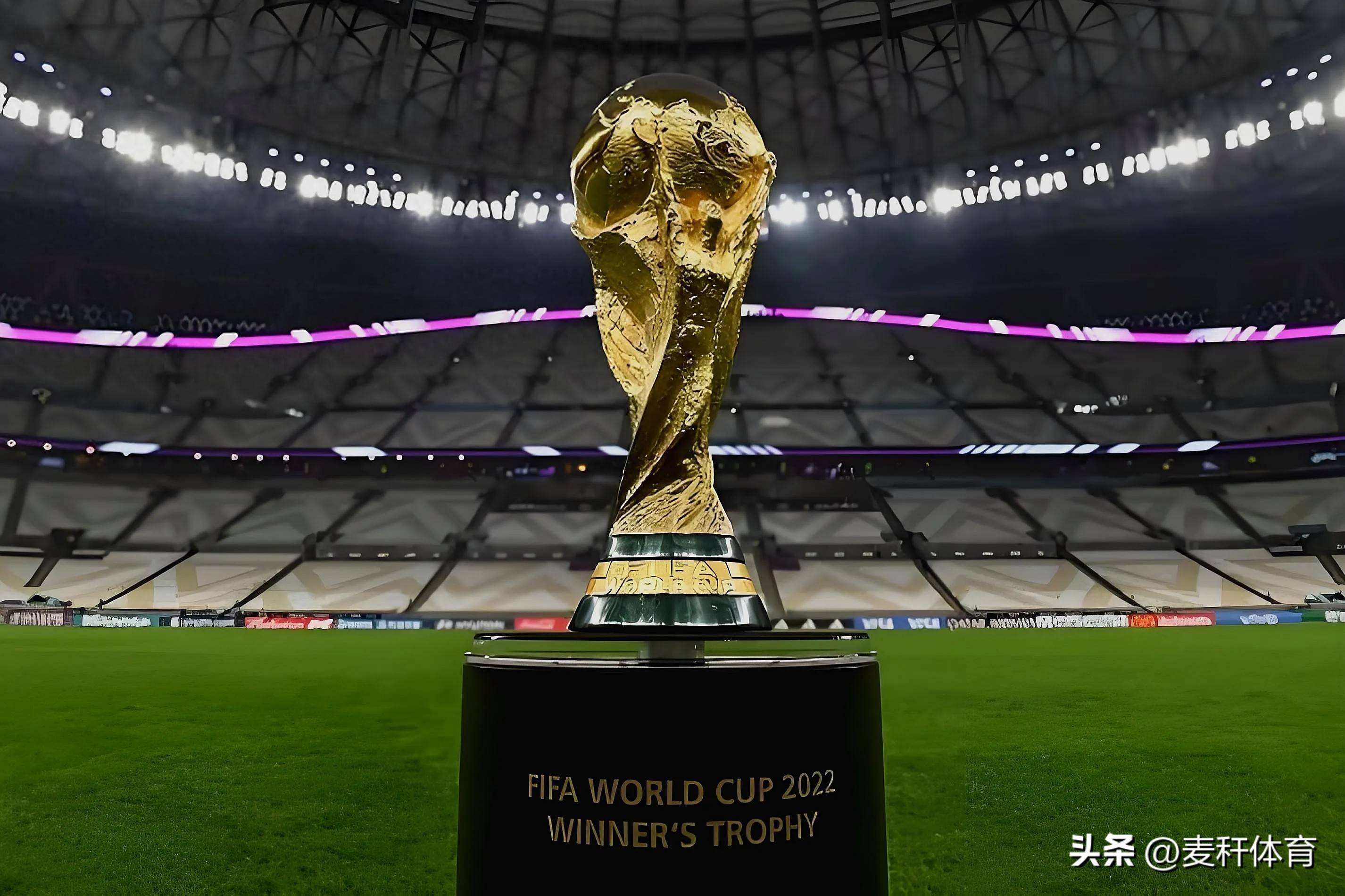 技战术水平 技战术水平