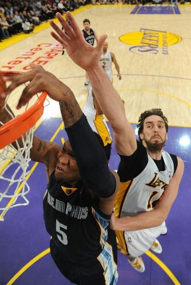 天津津门虎 天津津门虎